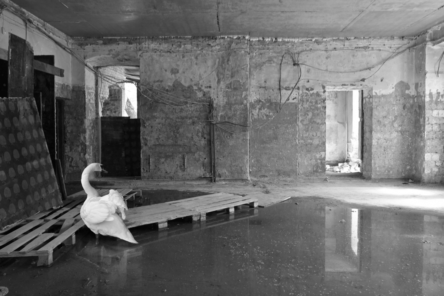 Daiva Kaireviciute Galeria Sztuki Katarzyny Napiorkowskiej (2)